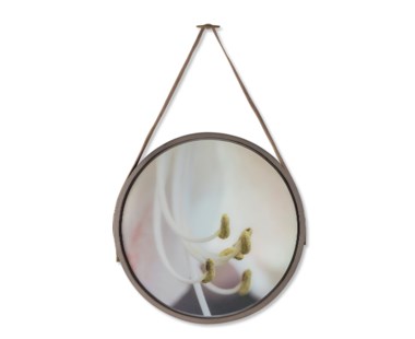 Flower Pistils on Glass - Round